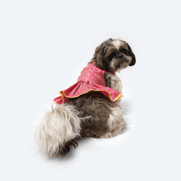 Pawgypets Formal Check Ruffle Dress for Dogs and Cats (Pink)