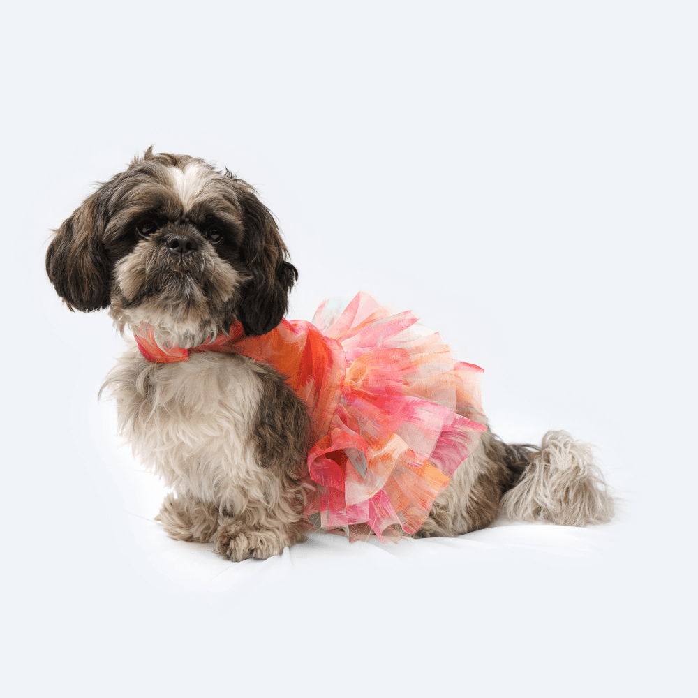 Pawgypets Frill Dress for Dogs and Cats (Orange) Both-Clothing & Accessories Pawgypets Dropship S