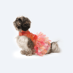 Pawgypets Frill Dress for Dogs and Cats (Orange)