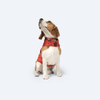 Pawgypets Strapy Sherwani for Dogs and Cats (Red) Both-Clothing & Accessories Pawgypets Dropship