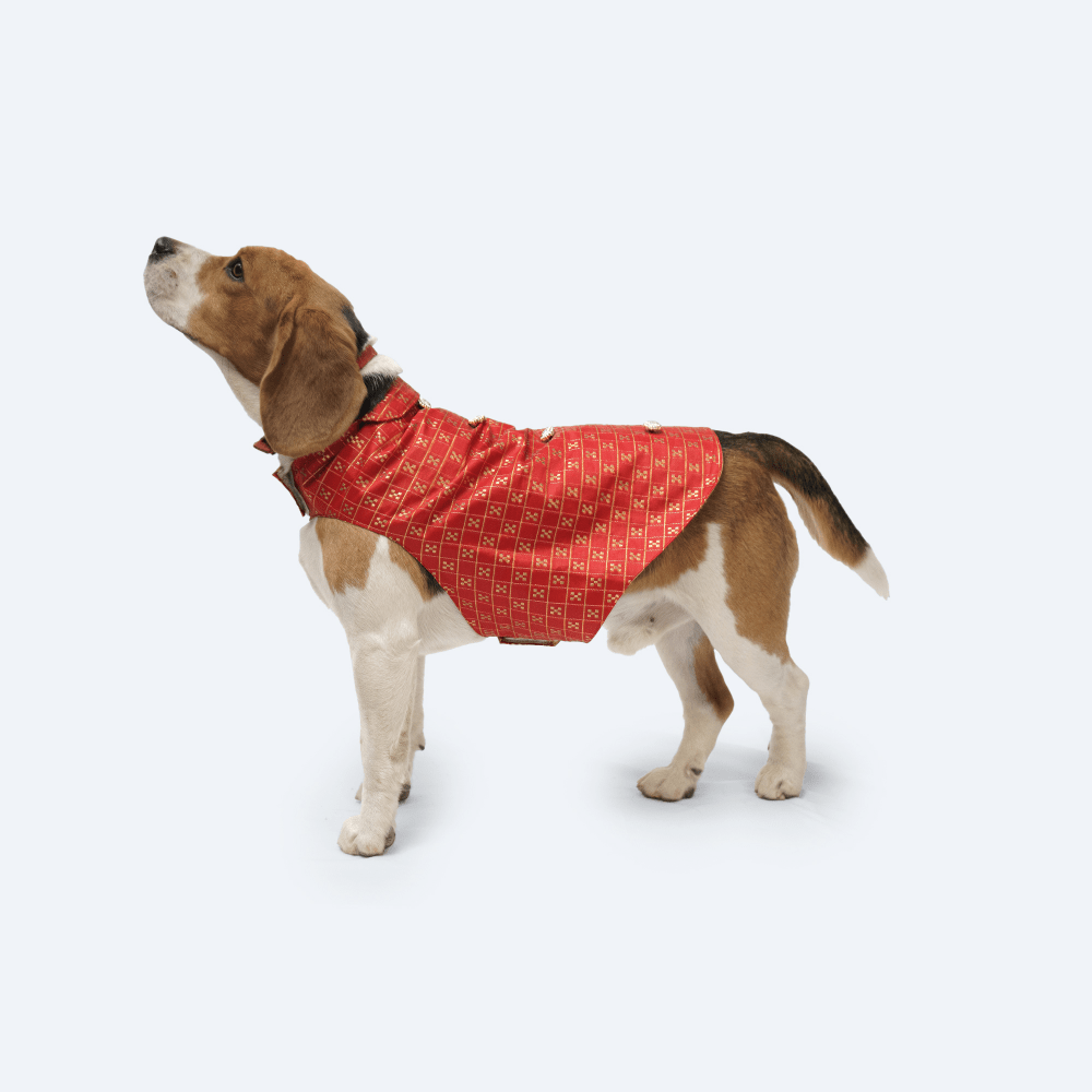 Pawgypets Strapy Sherwani for Dogs and Cats (Red)