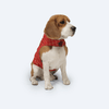 Pawgypets Strapy Sherwani for Dogs and Cats (Red) Both-Clothing & Accessories Pawgypets Dropship M