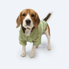 Pawgypets Occasion Wear Shirt for Dogs and Cats (Pista Green) Both-Clothing & Accessories Pawgypets Dropship XXS