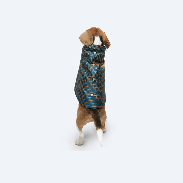 Pawgypets Strapy Sherwani for Dogs and Cats (Peacock Blue)