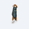 Pawgypets Strapy Sherwani for Dogs and Cats (Peacock Blue)