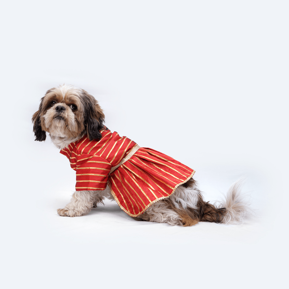 Pawgypets Occasion Wear Gota Dress for Dogs and Cats (Red)
