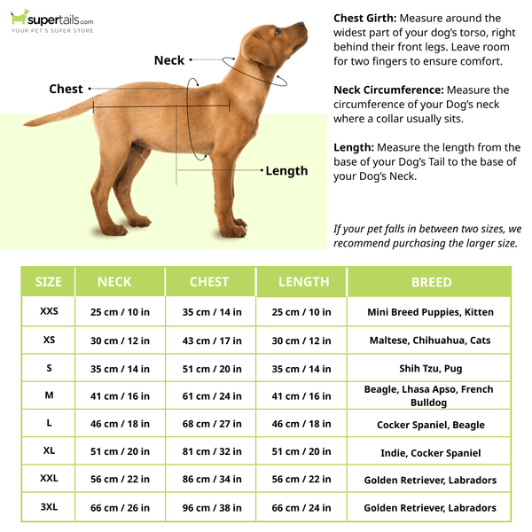Pawgypets Occasion Wear Shirt for Dogs and Cats (Yellow)