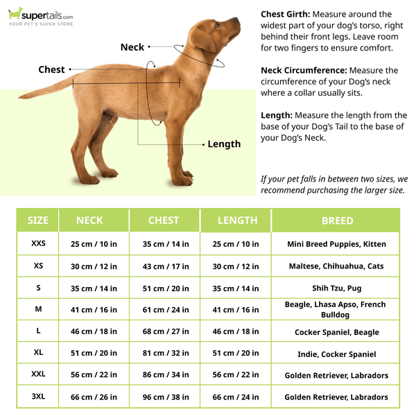 Pawgypets Sherwani for Dogs and Cats (White)