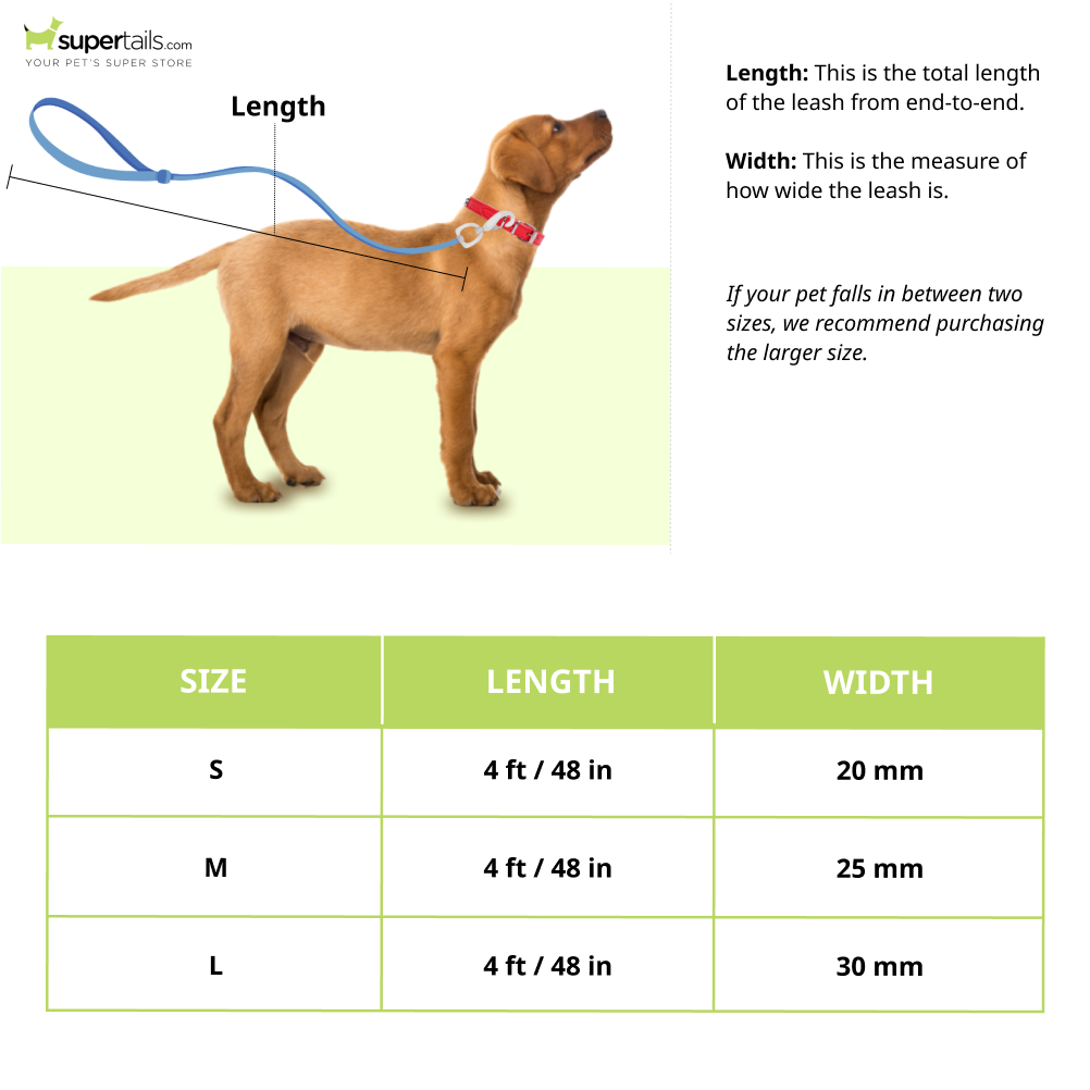 PetsPot Premium Nylon Leash for Dogs (Assorted)