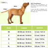 PetsPot Criss Cross H Harness for Dogs (Assorted) Dogs-Collar, Leashes, harnesses PetsPot