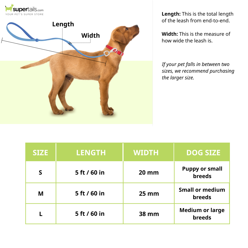 PetWale Long Lead Nylon Leash for Dogs (Orange)