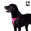 Truelove Step in Harness for Dogs (Fuschia)
