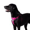 Truelove Step in Harness for Dogs (Fuschia)