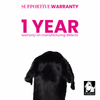 Truelove Step in Harness for Dogs (Fuschia)