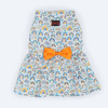 Pawgypets Rainbow Casual Dress for Dogs and Cats Both-Clothing & Accessories Pawgypets Dropship