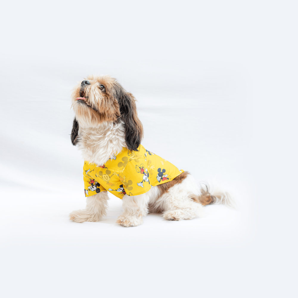 Pawgypets Mickey Casual Shirt for Dogs and Cats (Yellow)
