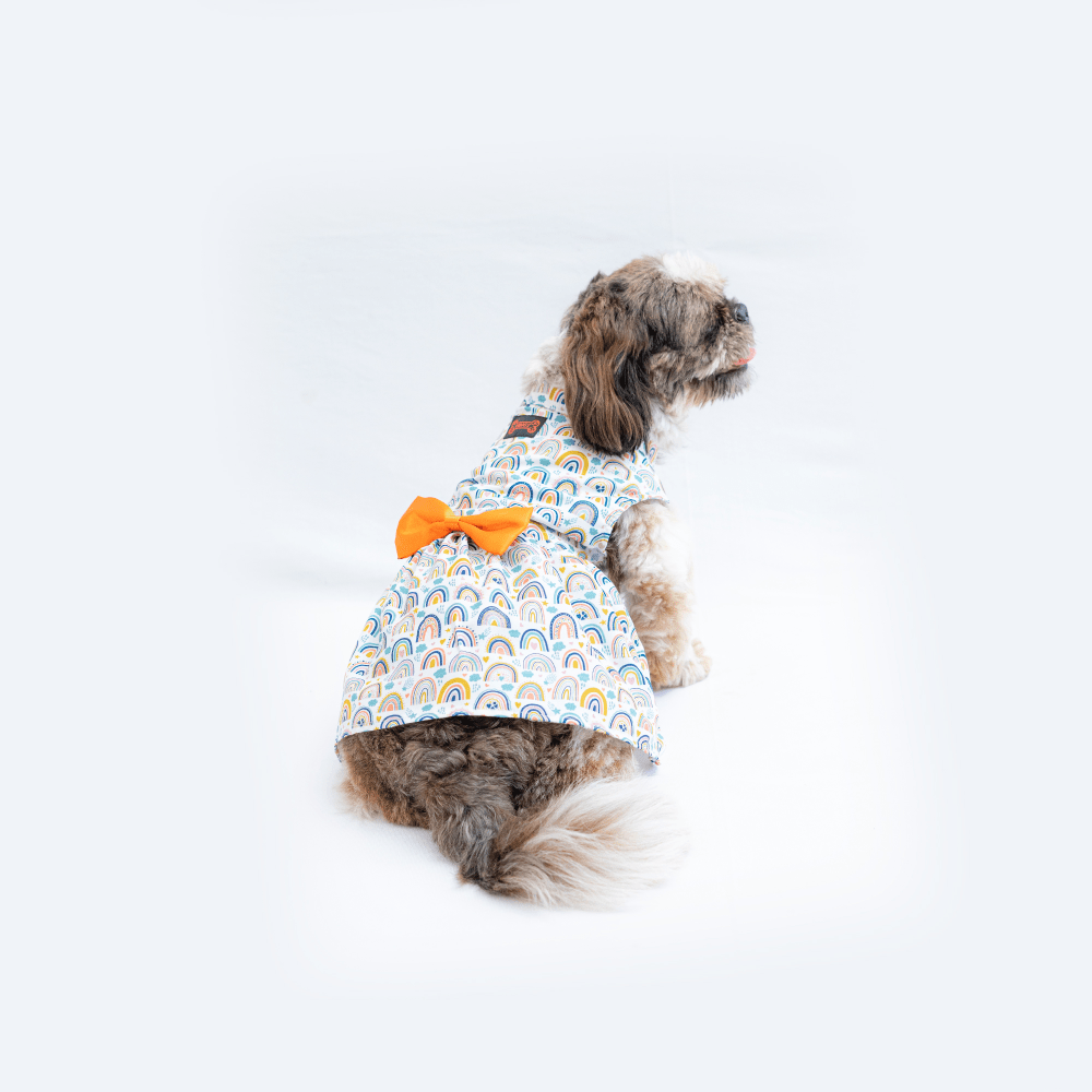 Pawgypets Rainbow Casual Dress for Dogs and Cats