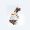 Pawgypets Rainbow Casual Dress for Dogs and Cats Both-Clothing & Accessories Pawgypets Dropship