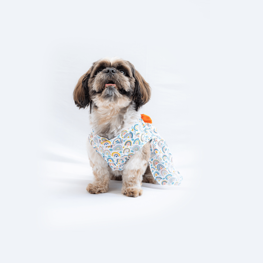 Pawgypets Rainbow Casual Dress for Dogs and Cats Both-Clothing & Accessories Pawgypets Dropship XXS