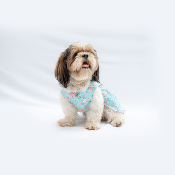 Pawgypets Floral Casual Dress for Dogs and Cats