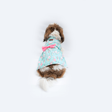 Pawgypets Floral Casual Dress for Dogs and Cats