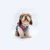 Pawgypets Multi Heart Casual Dress for Dogs and Cats
