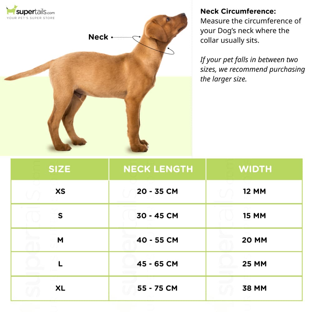 PetsPot Melange Regular Harness for Dogs (Assorted)