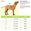 PetsPot Melange Regular Harness for Dogs (Assorted) Dogs-Collar, Leashes, harnesses PetsPot