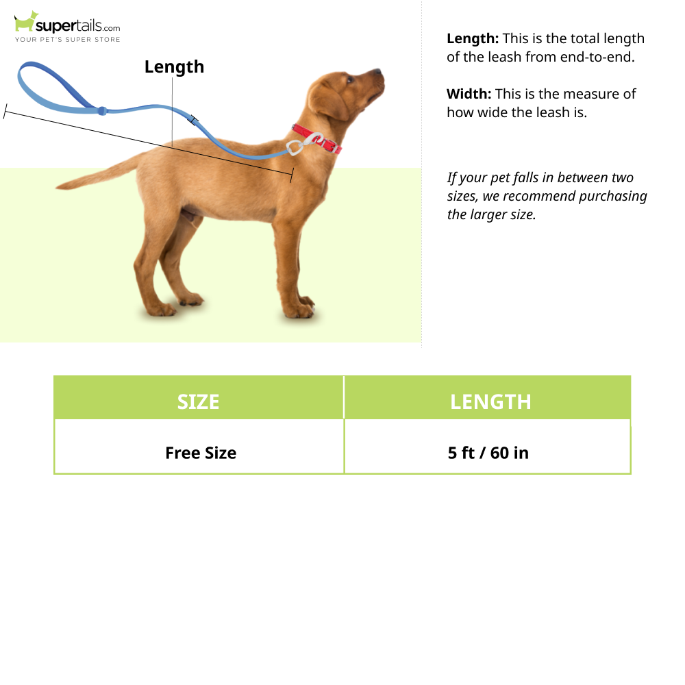 Pet And Parents Angular Hearts Leash for Dogs