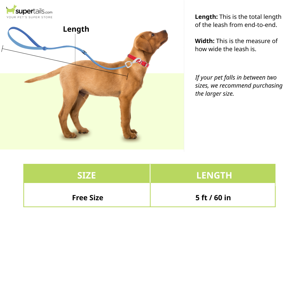 Pet And Parents Green Garden Leash for Dogs