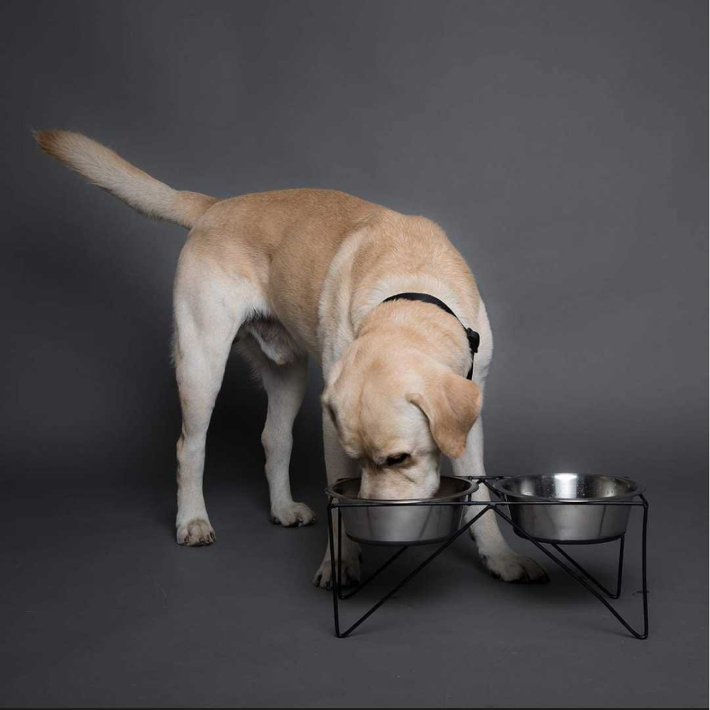 Pets Empire Stainless Steel bowl with Stand for Dogs and Cats