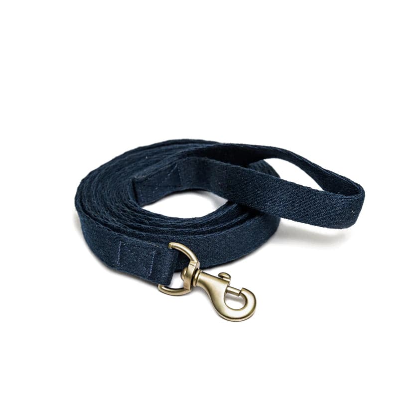 PetWale Cotton Long Leash for Dogs (Blue)