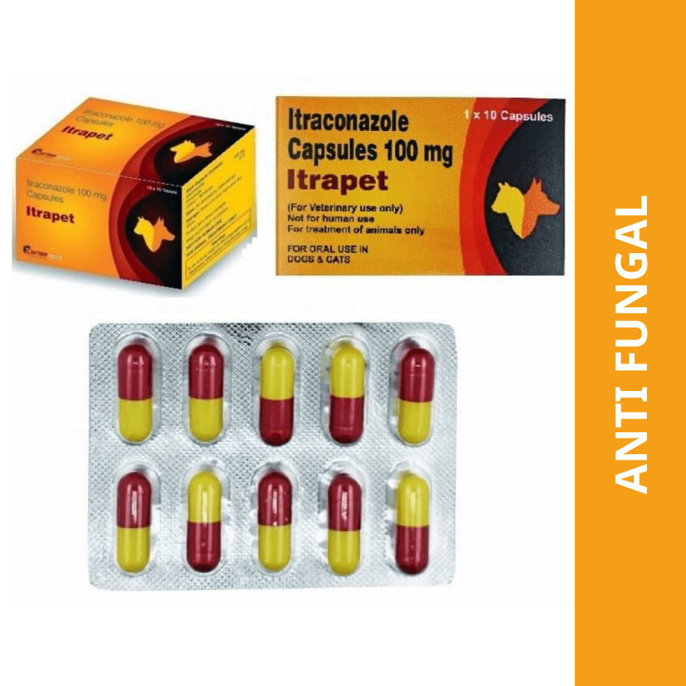 Corise Itrapet 100mg Capsules (Itraconazole) for Dogs and Cats Both-Pharmacy Corise Pharmacy