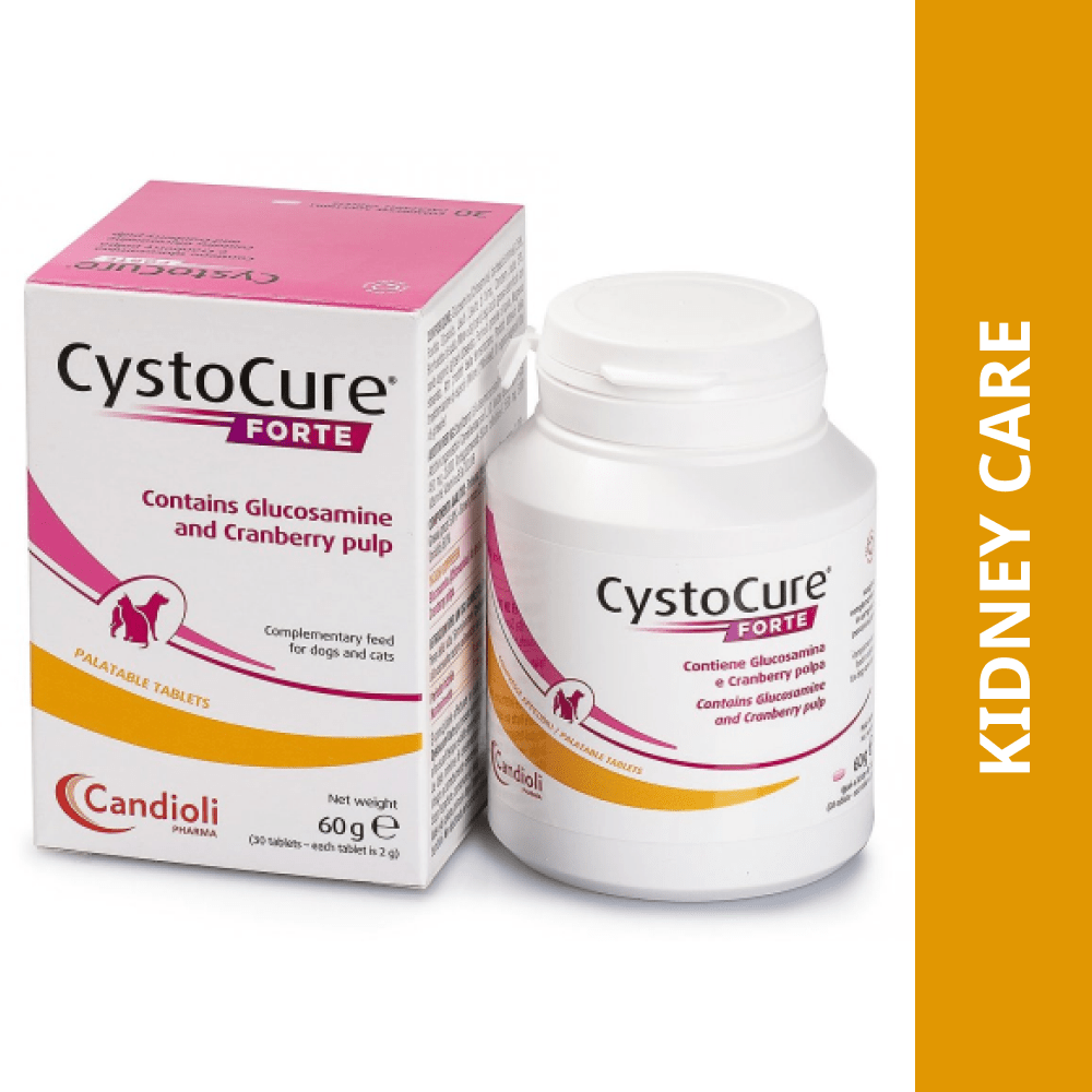 Dyntec Cystocure Forte Tablet