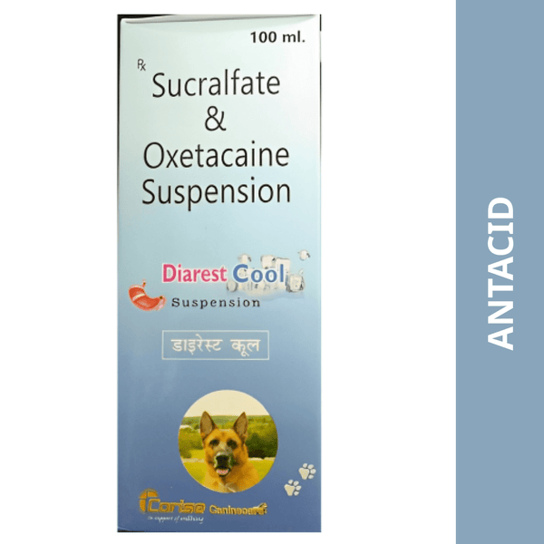 Buy Corise Diarest Cool Syrup for Pets Online in India Supertails