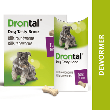 Drontal Plus Tasty Dog Deworming Tablet (pack of 6 tablets)