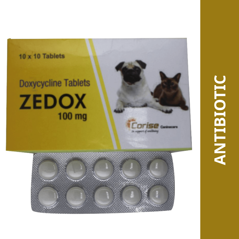 Corise Zedox (Doxycycline) 100mg Tablets for Dogs and Cats (10 tablets) Both-Pharmacy Corise Pharmacy