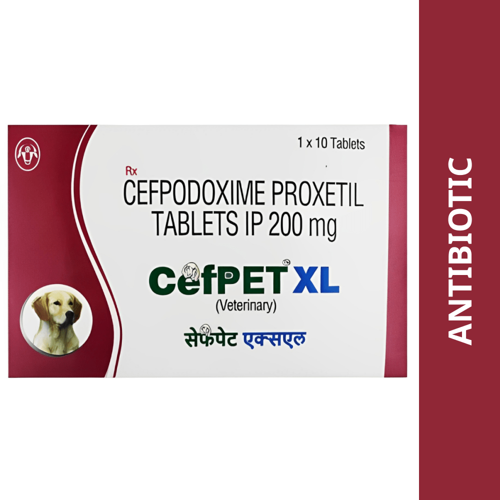 Intas Cefpet XL 200mg (Cefpodoxime Proxetil) Tablet Both-Pharmacy Intas Pharmacy 1 strip (10 Tablets)