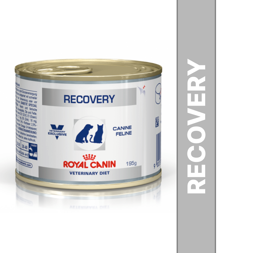 Royal canin on sale veterinary diet recovery