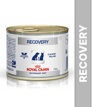 Royal Canin Recovery Canned Adult Pet Wet Food