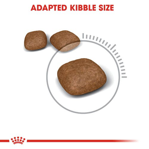 Royal Canin Urinary Care Adult Cat Dry Food