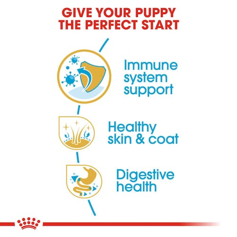 Royal Canin Cocker Spaniel Puppy Dog Dry Food