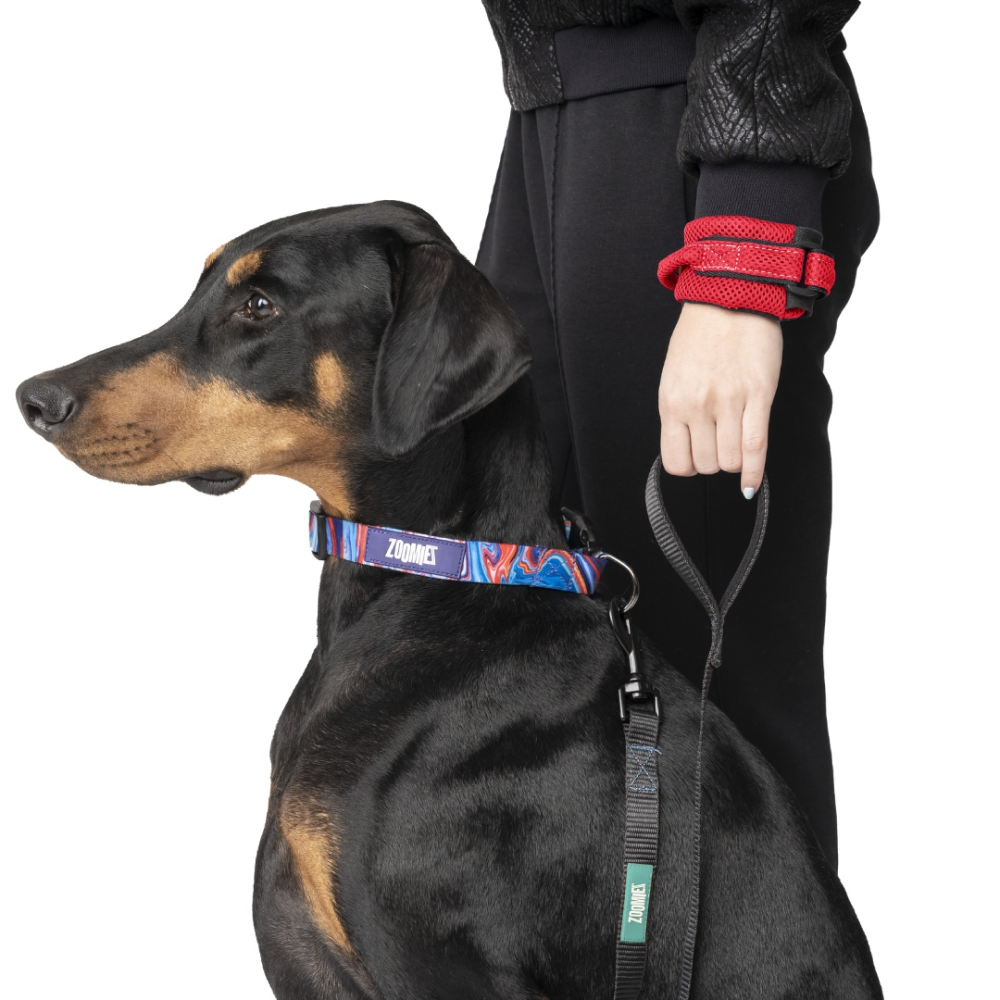 Zoomiez Hands Free Mesh Leash for Dogs (Red)