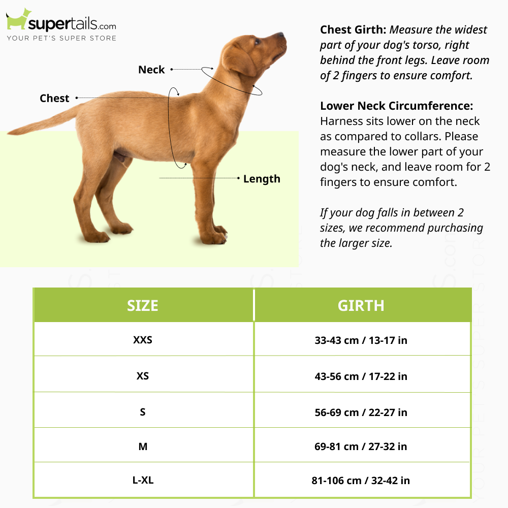 Ruffwear webmaster harness 2024 sizing