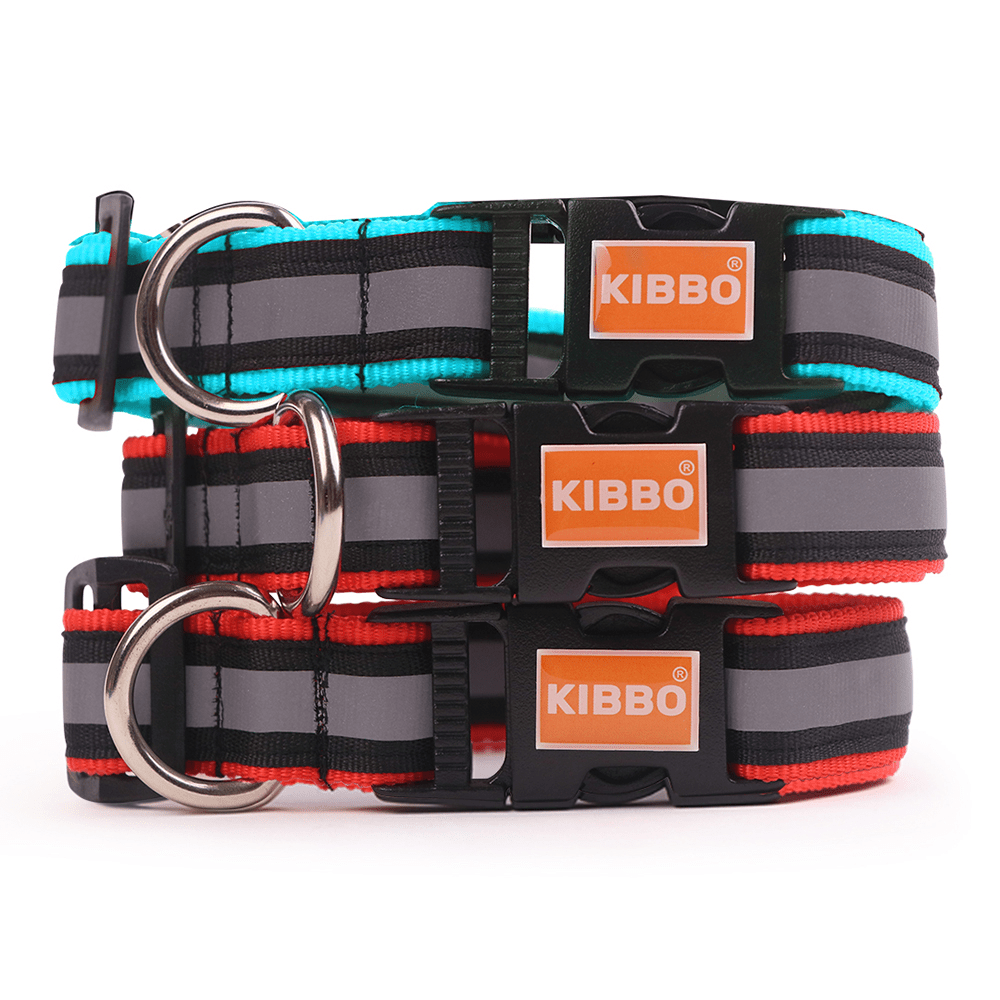 Kibbo Premium Nylon Collar with Buckle and D Ring for Dogs (Red,Sea Green/Pack of 3)