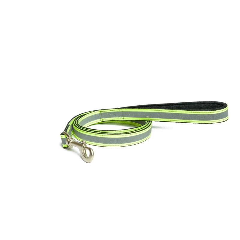PetWale Nylon Dog Leash (Reflective Green)
