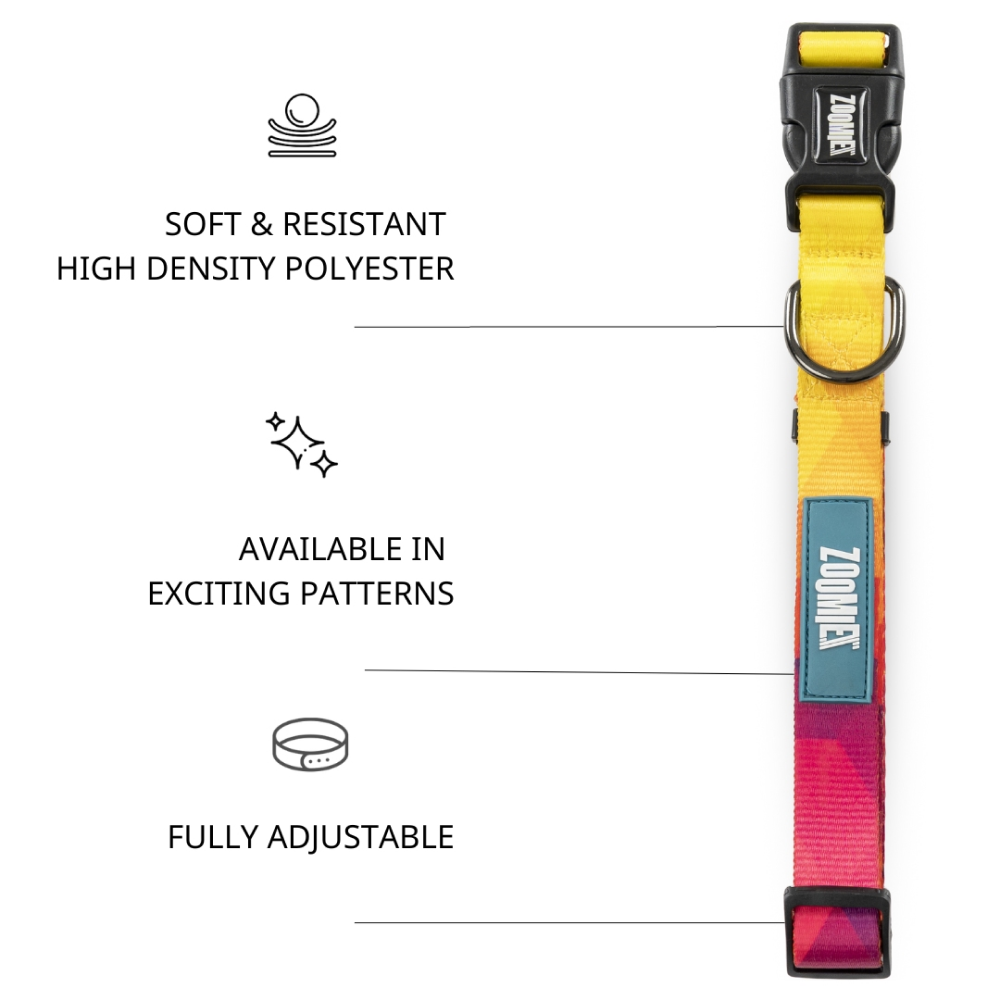 Zoomiez Solar Printed Collar for Dogs