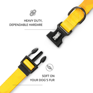 Zoomiez Solar Printed Collar for Dogs