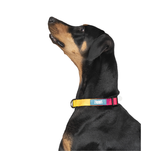 Zoomiez Solar Printed Collar for Dogs