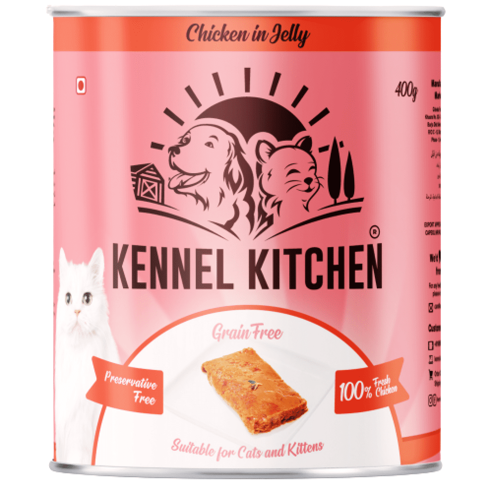 Kennel Kitchen Chicken in Jelly (Can) Wet Cat Food